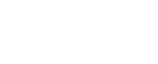 IEEE CS Tunisia Section